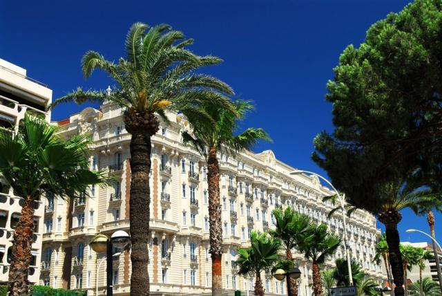 Francie Cannes shutterstock_12642268.jpg