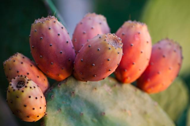 Itálie - Sicílie -  shutterstock_154043027.jpg