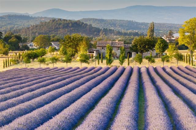 Francie - Provence shutterstock_109472897.jpg