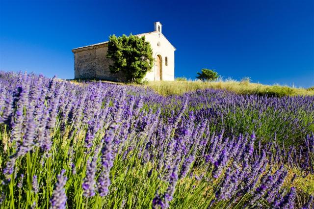 provence 101075671.jpg