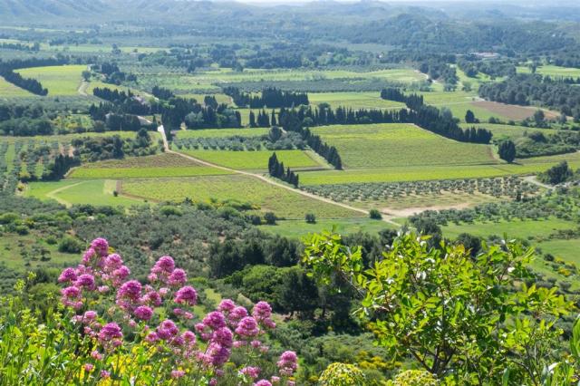 Francie - Les Baux de Provence shutterstock_532823584.jpg