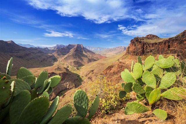 Gran Canaria - Malý Kontinent