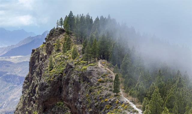 Gran Canaria - Cruz de Tejeda shutterstock_1105232828.jpg