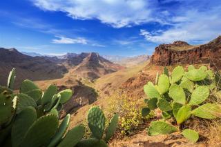 Gran Canaria - Malý Kontinent
