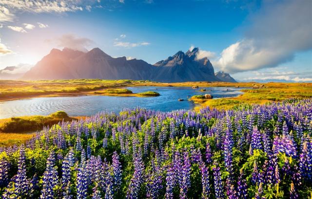 Island shutterstock_455260282.jpg