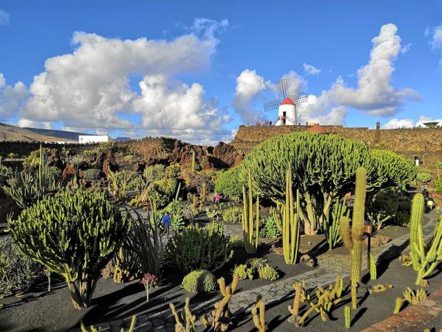 ostrov Lanzarote -Kin_k-unsplash.jpg