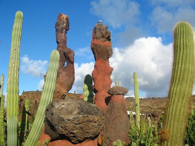 Lanzarote -gbf3a4a52c_1280.jpg