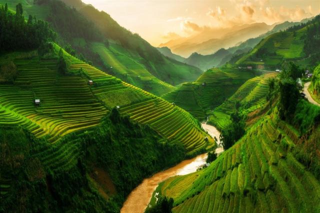 Vietnam - Sapa - terasovitá políčka 1shutterstock_508367704.jpg