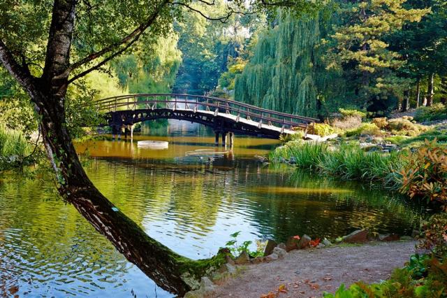 Polsko - Wroclav - Japonský most v botanické zahradě shuttersto
