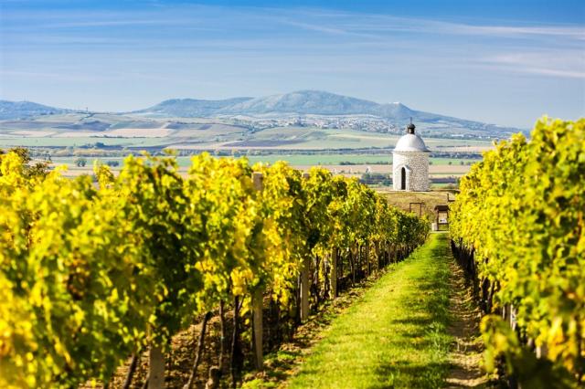 Česko Jižní Morava shutterstock_287623265.jpg