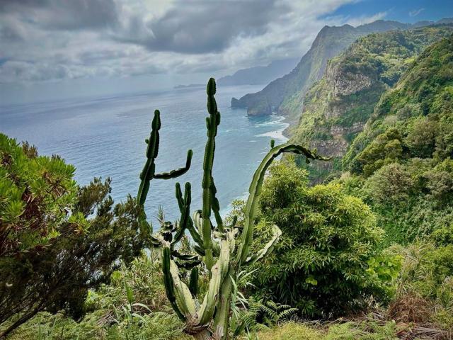 Madeira 348362923_103326166104126_7257347570225677709_n.jpg