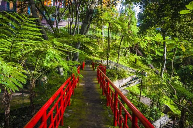 Portugalsko - Madeira - Funchal - Japonská zahrada shutterstock