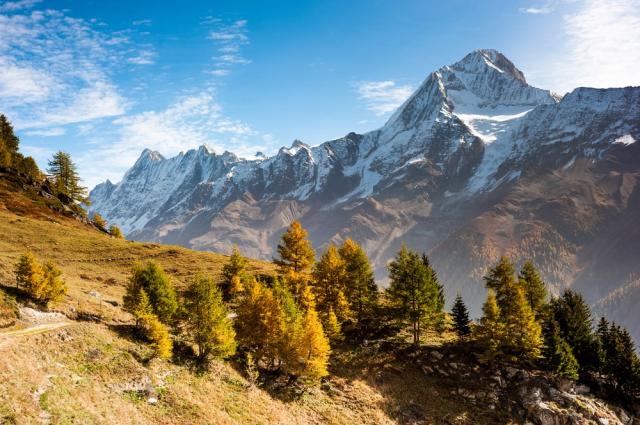 Švýcarské Alpy shutterstock_101330185.jpg