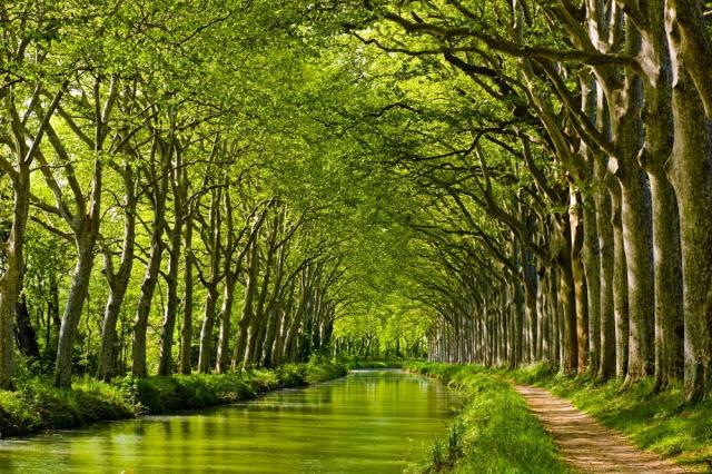 Gaskoňsko - Canal du Midi shutterstock_176666894.jpg