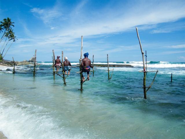 Srí Lanka - shutterstock_555052510.jpg