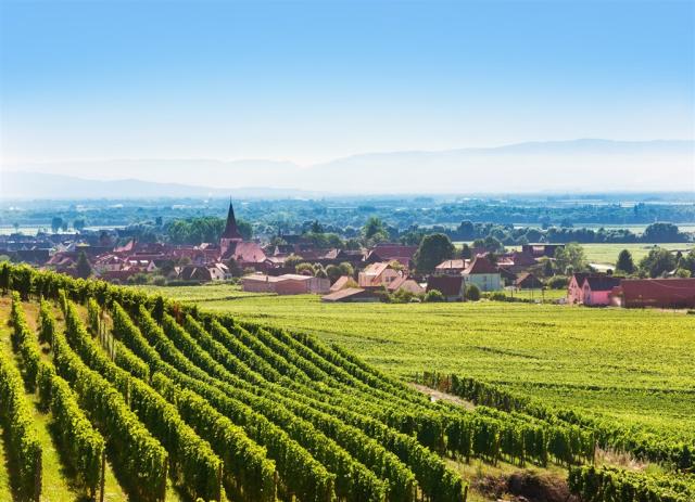 Francie - Alsaská vinná stezka.shutterstock_567843535.jpg