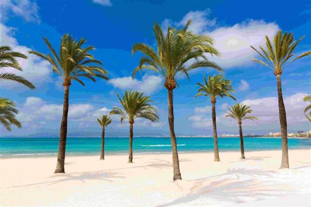 Španělsko Mallorca - Palma de Mallorca, pláž z shutterstock_263