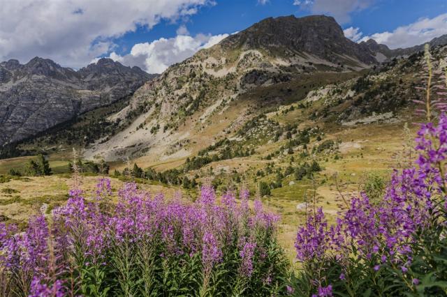 Pyreneje - Vall d'Incles - shutterstock_2522518275.jpg