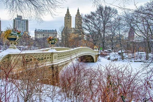 USA - New York_shutterstock_2557659489.jpg