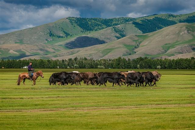 Mongolsko_DSC8471-Edit.jpg