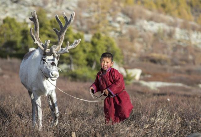 Mongolsko shutterstock_717932164.jpg
