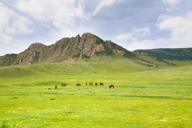 Mongolsko NP Terelj shutterstock_463123598.jpg