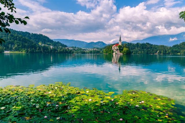 Slovinsko - Bled shutterstock_246224083.jpg