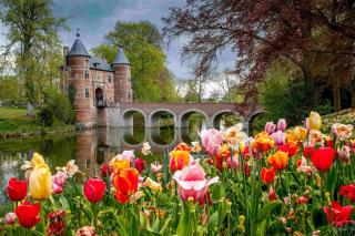 Holandsko A Belgie V Květu Tulipánů