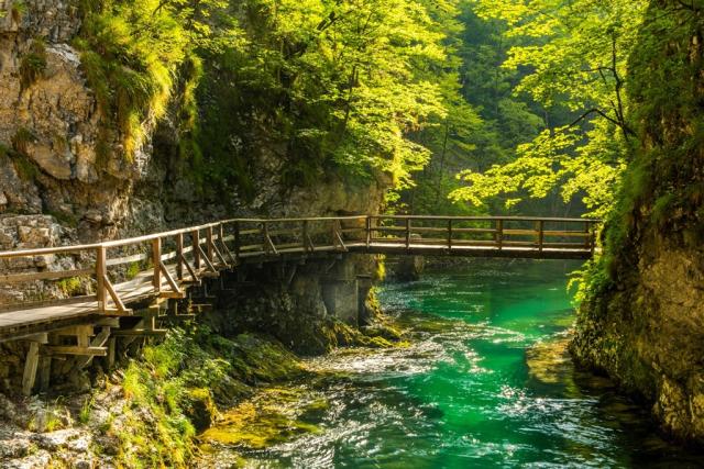 Slovinsko - soutěska Vintgar shutterstock_2087499649.jpg