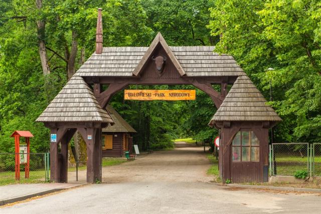 Polsko - Bělověžský národní park shutterstock_1208930497.jpg