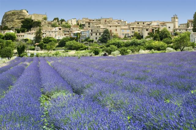 Francie Provence - Lourmarin shutterstock_62848177.jpg