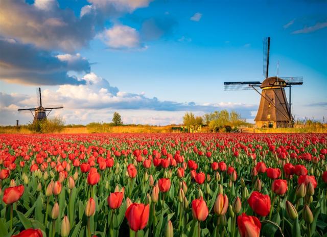 Nizozemsko - Zaanse Schans shutterstock_1388493884.jpg