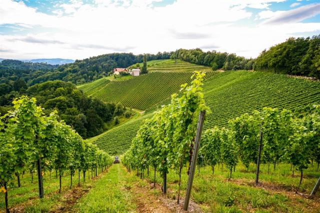 Rakousko - Štýrsko shutterstock_371262286.jpg