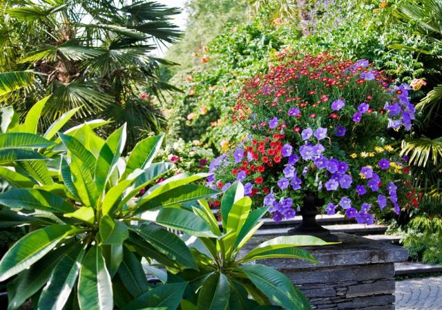 Německo - ostrov Mainau shutterstock_44660686.jpg
