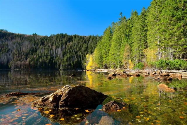 Česko Šumava Černé jezero shutterstock_342006479.jpg