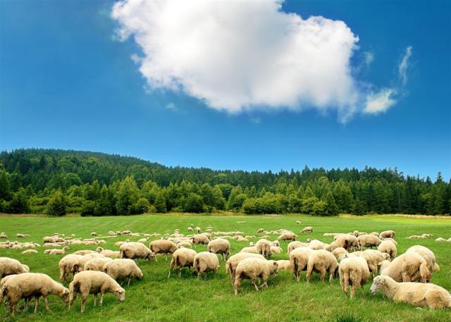 Beskydy 1 shutterstock_161857631.jpg