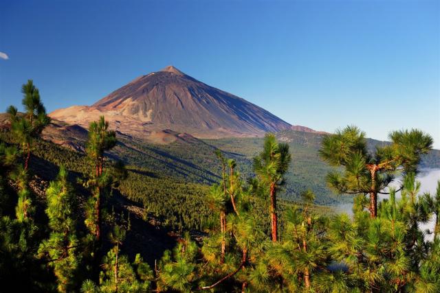 Španělsko - Kanárské ostrovy - Tenerife - NP Teide shutterstock