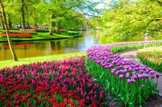 Letecký Zájezd Do Holandska - Keukenhof