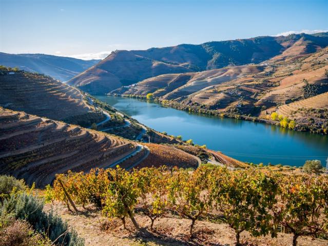 Porto – Město Mostů A Vína