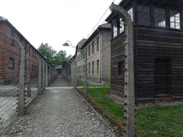 P1070941