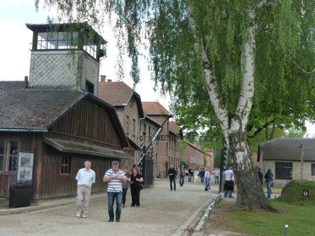 P1070954