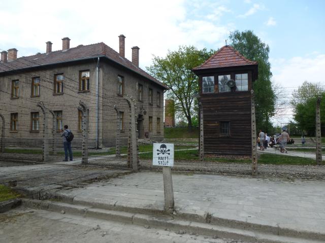 P1070939