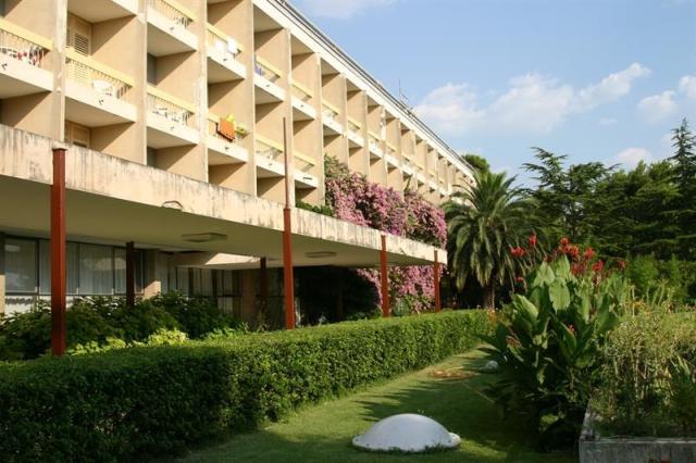 7746.jpg