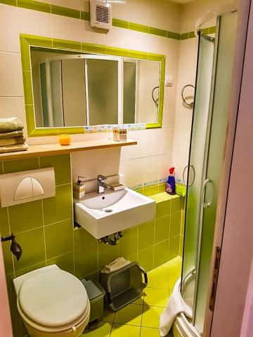 Green - bathroom 1.jpg