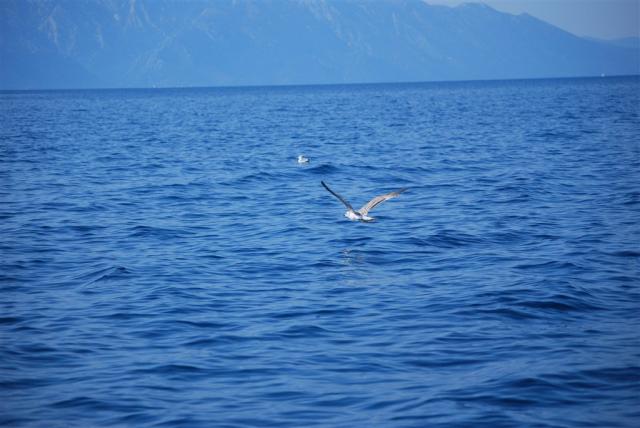 DSC_1953.JPG