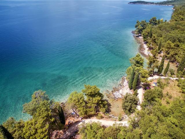 DJI_0408.jpg