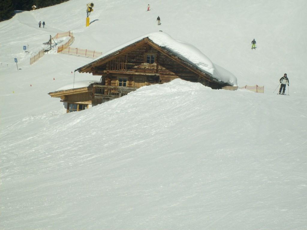 S6300782.JPG