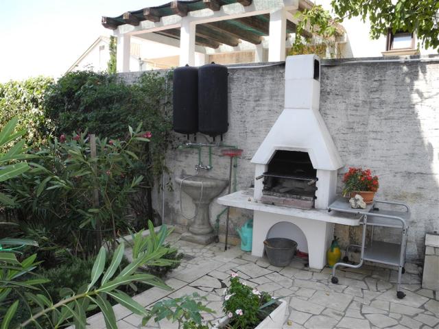DSCN0233.JPG