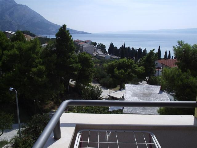 154.JPG