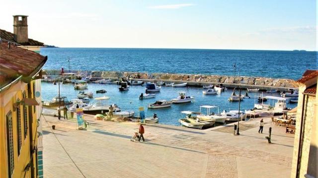 slika-more-velika-2-637185767965290813_780_439.jpeg